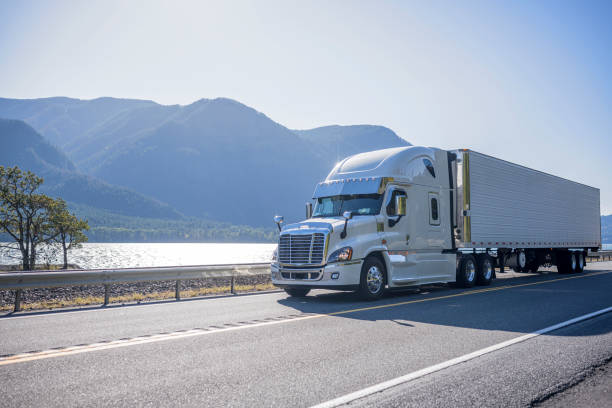 Professional grade big rig semi truck with chrome accessories transporting frozen cargo in refrigerated semi trailer moving on the road along river with bewitching view on the opposite bank